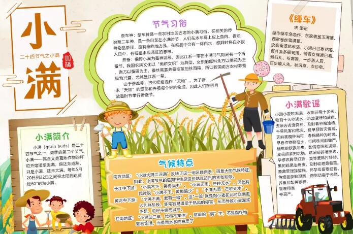 小满节气手抄报图片10