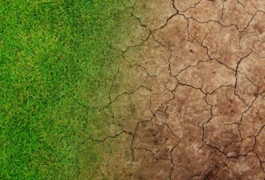 2019年是第几个世界防止荒漠化和干旱日