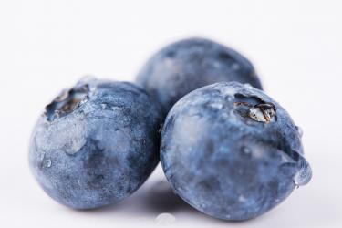 湿疹可以吃蓝莓吗 宝宝吃蓝莓要注意1