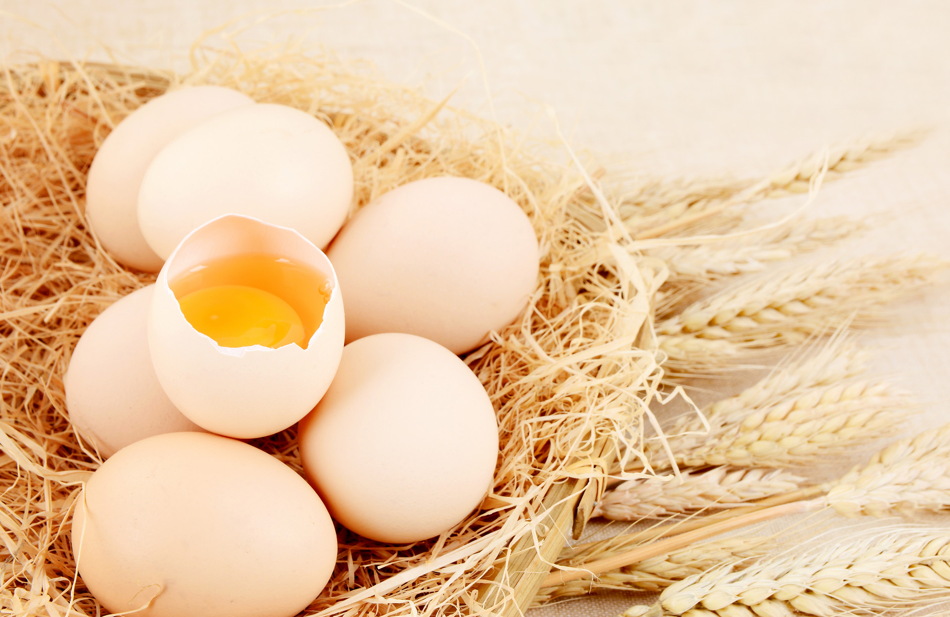 宝宝皮肤过敏可以吃鸡蛋吗
