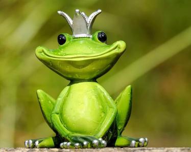 青蛙王子的童话故事