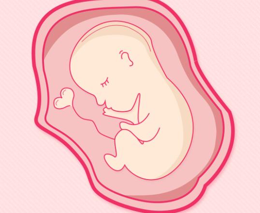 胎儿双侧肾盂无分离是什么意思