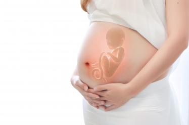 怀孕四个月男胎儿图1