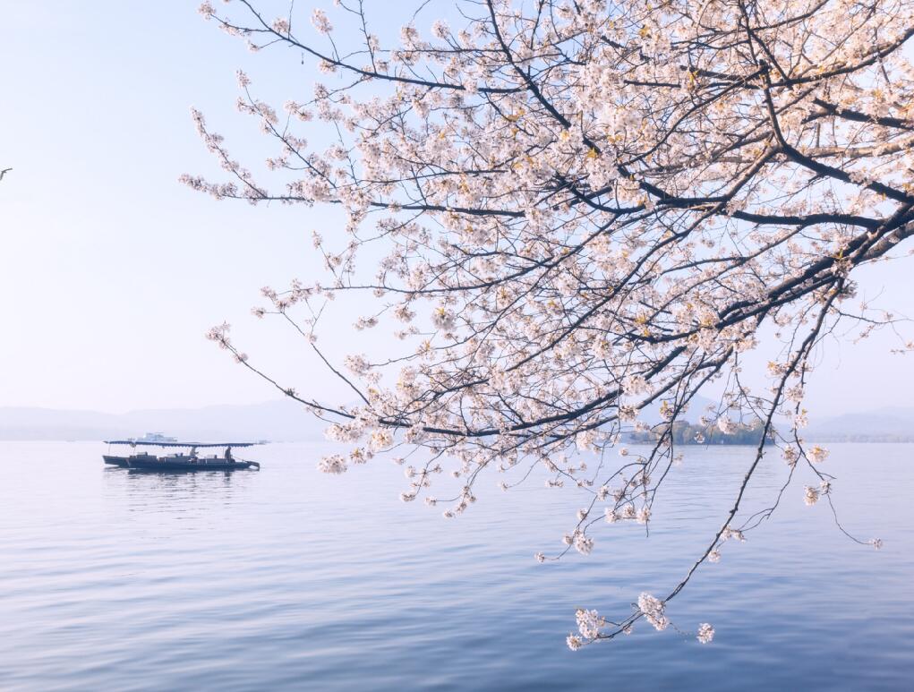 2019年春社日是哪一天