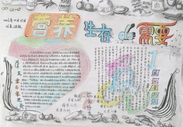全国学生营养日手抄报图片2
