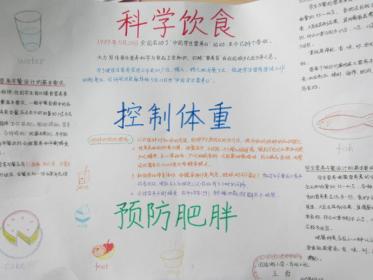 全国学生营养日手抄报图片12