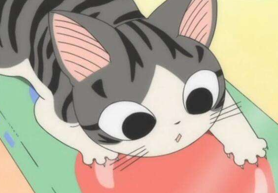 跳圆舞曲的猫儿