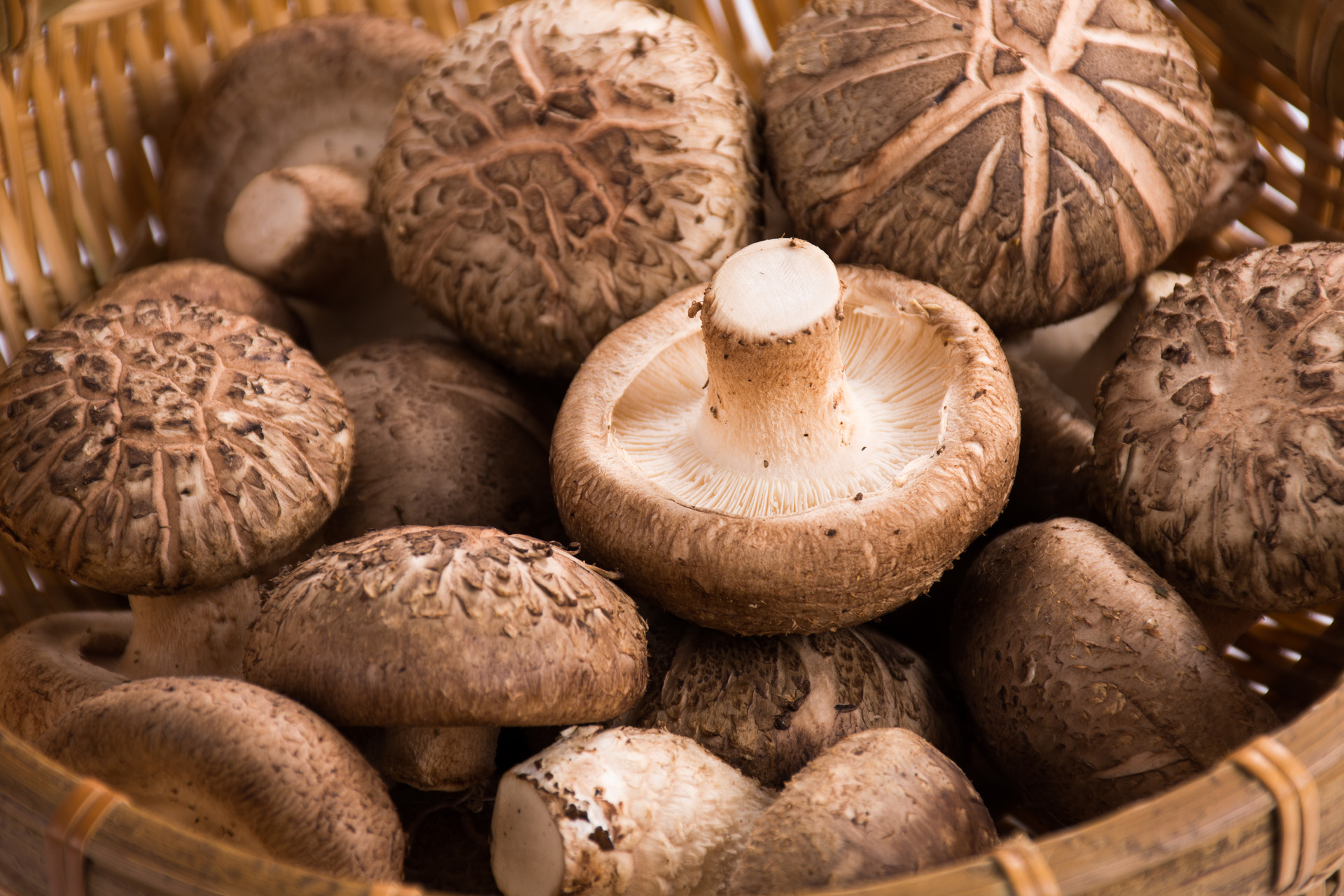 香菇的做法大全 香菇的食疗方法