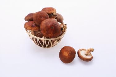 香菇的做法大全 香菇的食疗方法3