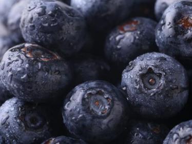蓝莓李果是什么水果 蓝莓李果是蓝莓吗
