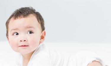 属猪的男孩可爱乳名