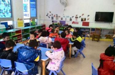 中班水稻小麦教案3