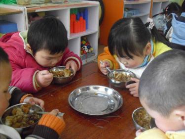 中班水稻小麦教案4