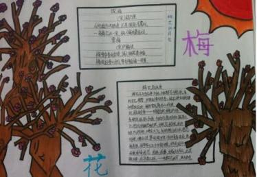 花的手抄报简单又好看11