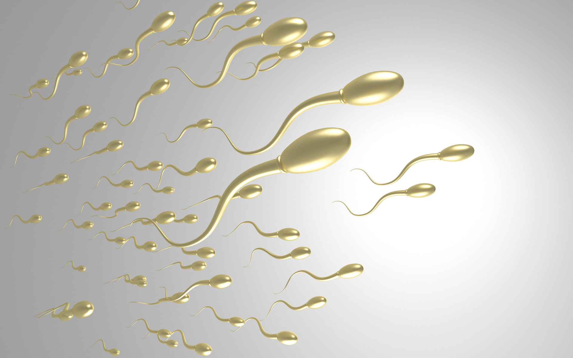 受孕为什么需要那么多精子