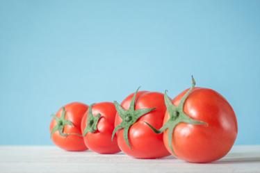西红柿的营养价值及功效3