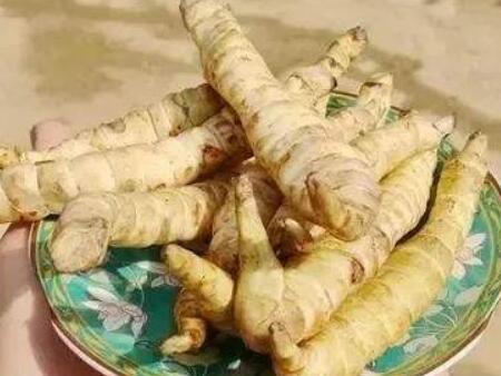 地参孕妇可以吃吗 地参孕妇可以吃吗