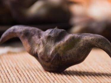 孕妇吃菱角会上火吗 孕妇吃菱角会上火吗