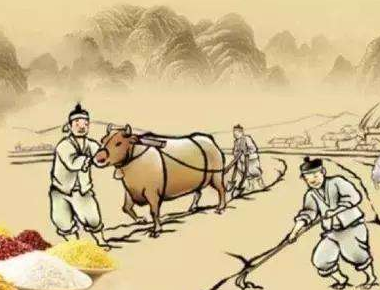 鲁滨逊漂流记2.告别奴隶生活