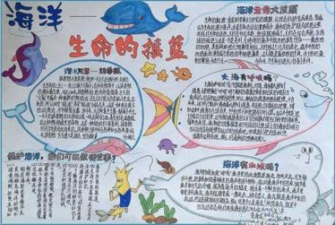 海洋知识手抄报简单又漂亮12
