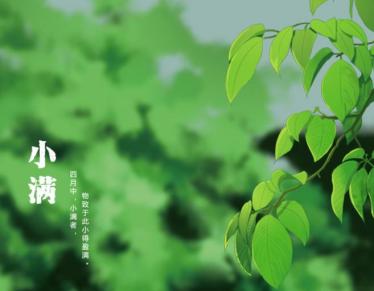 2019年小满的具体时间是几点几分