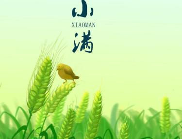 2019小满天气开始热了吗