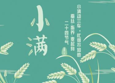 小满后面的节气是什么