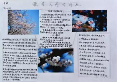 最美四月天手抄报图片10