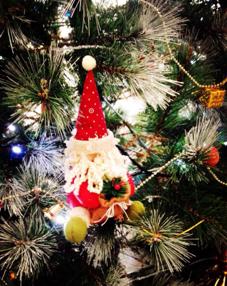 O Christmas Tree Song