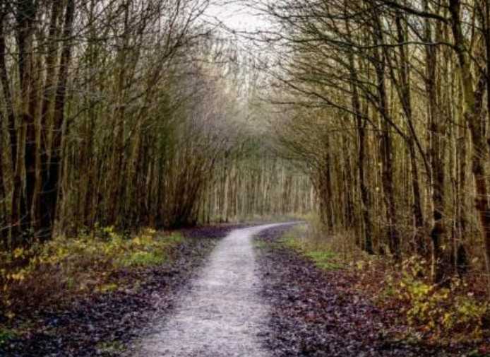 Nature’s Path