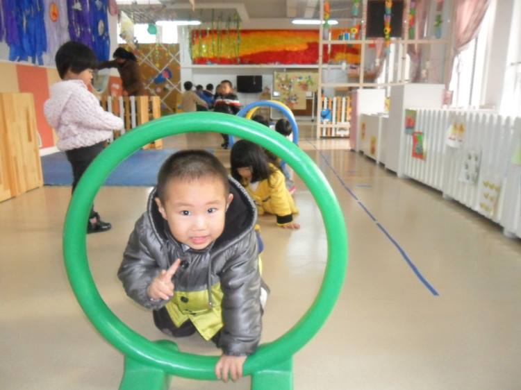小班小兔找山洞教案1