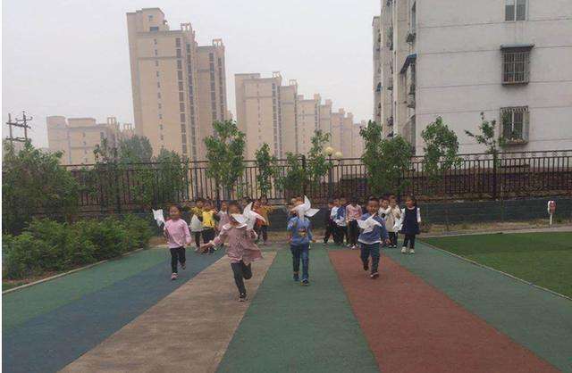 大班科学风的秘密教案4