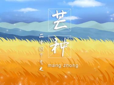 2019年芒种后九天是几月几日