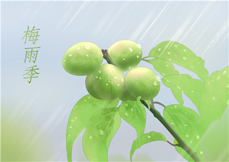 广州梅雨季节是几月份图片