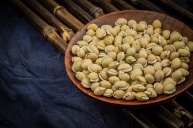 白扁豆祛湿的吃法 白扁豆食谱推荐3