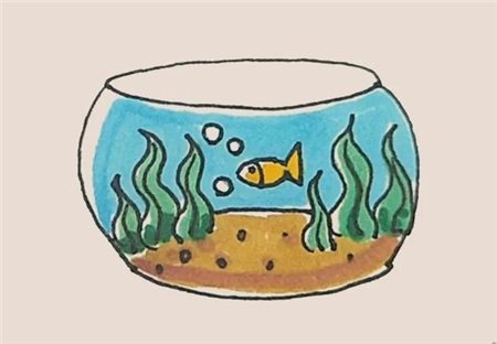 鱼缸简笔画彩色的画法4