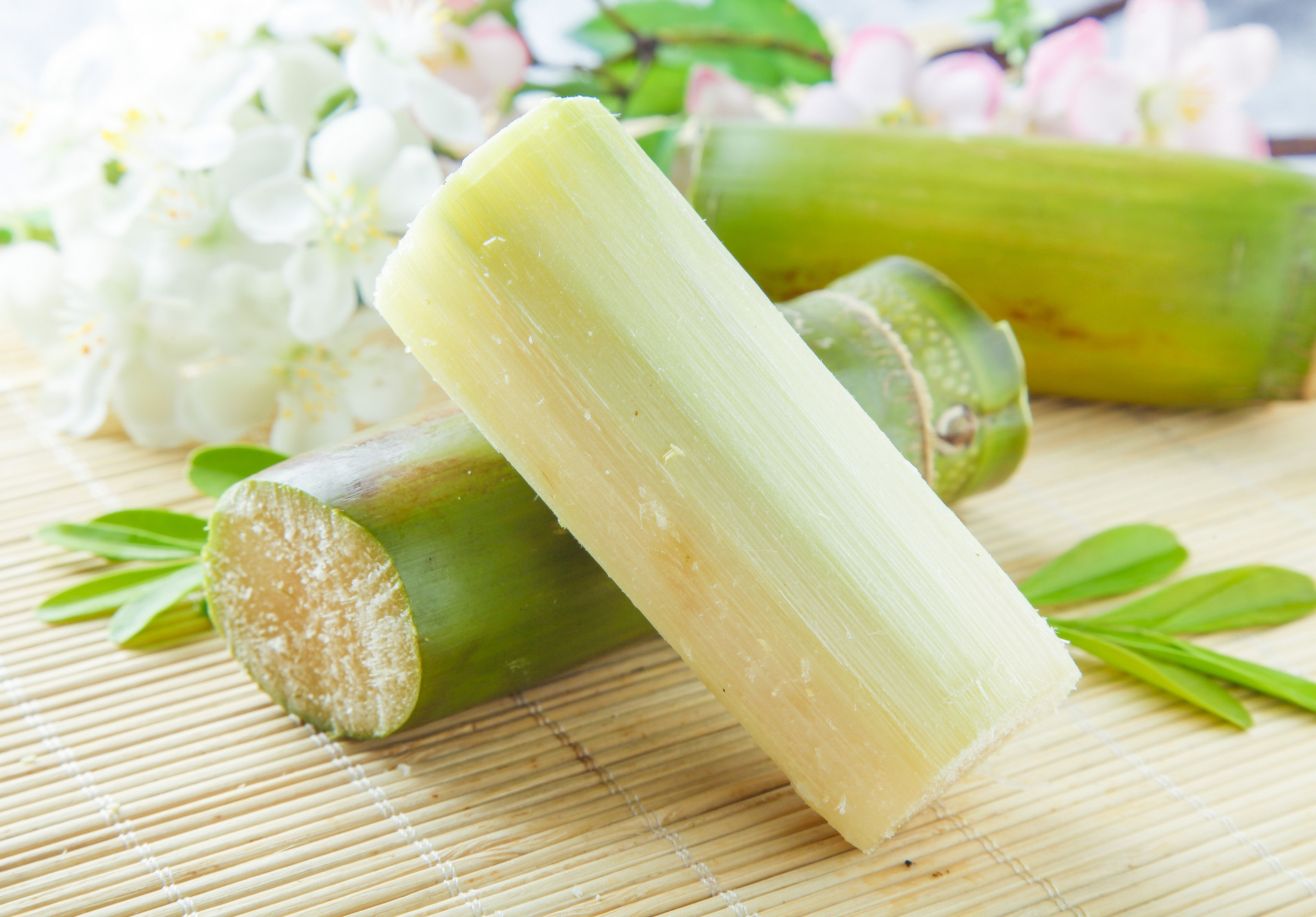宝宝上火流鼻血吃什么好5