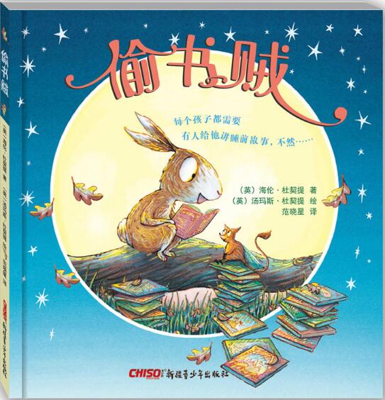 偷书贼绘本1