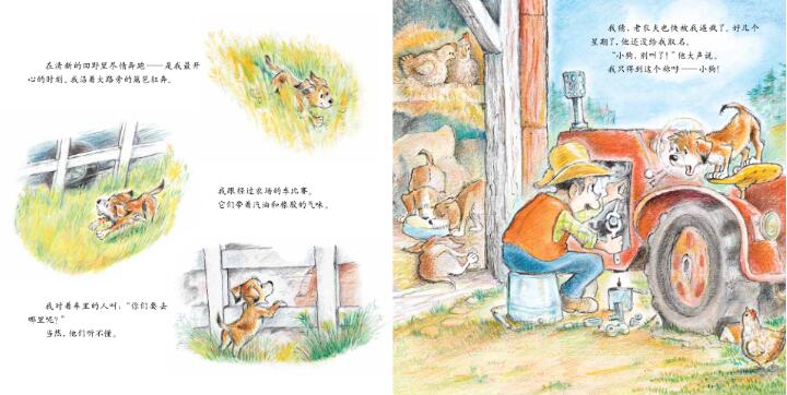 在雨中奔跑绘本