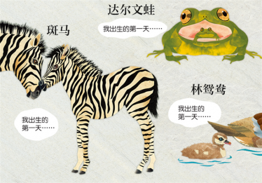 小鹿出生的第一天绘本3