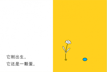 快乐的鸟蛋绘本2
