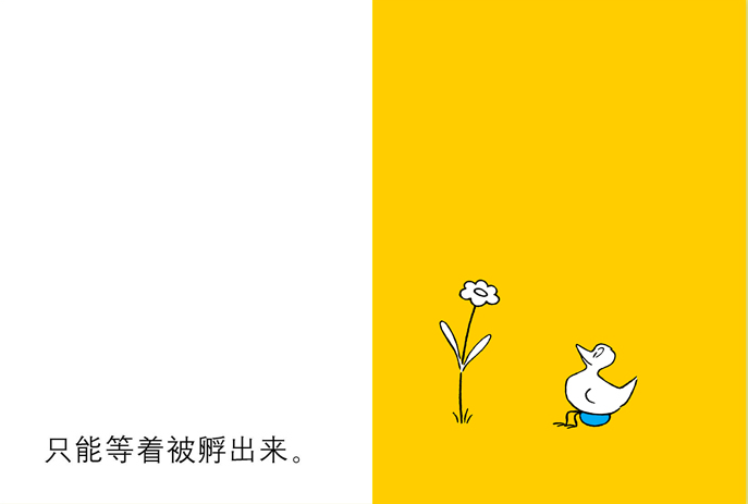 快乐的鸟蛋绘本4