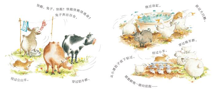 快跑兔子快跑绘本
