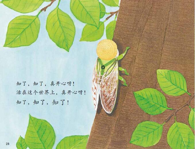 就是今天晚上绘本