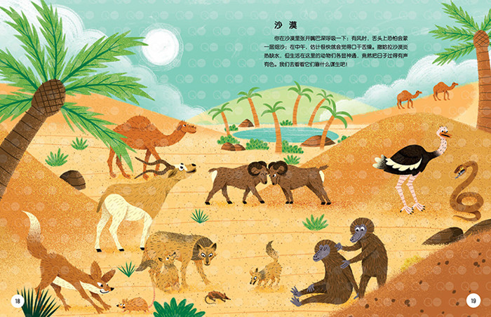 动物每天都在做什么绘本4