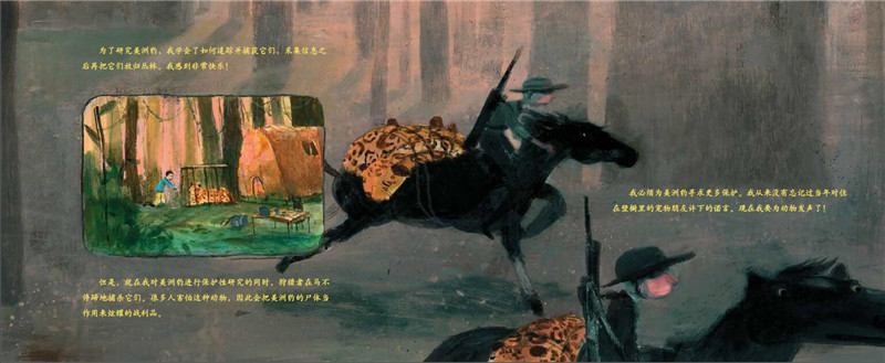 美洲豹与我绘本4