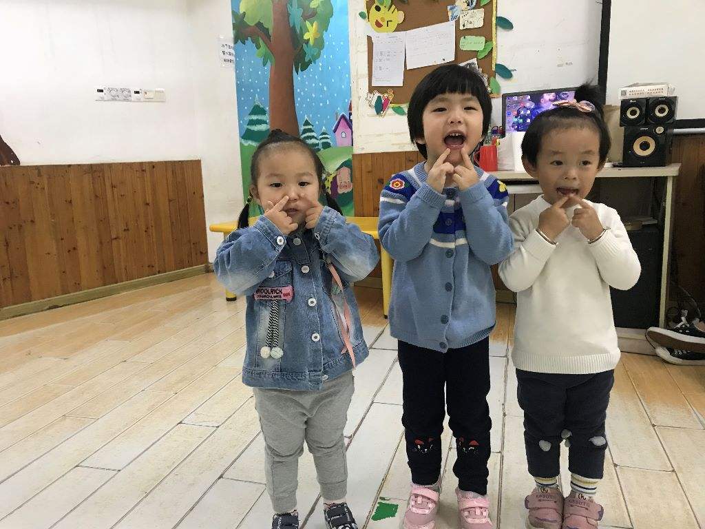 小班儿歌五官歌教案1