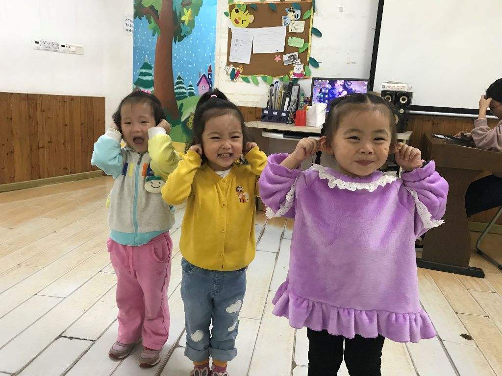 小班儿歌五官歌教案2