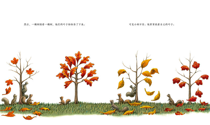 小树的四季绘本3