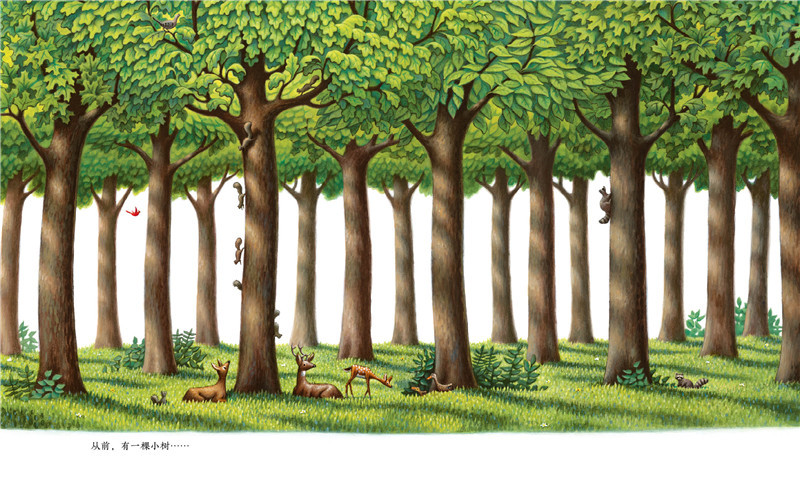 小树的四季绘本4